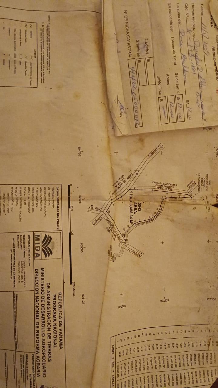 Finca Las Negritas — Glamping & Naturaleza